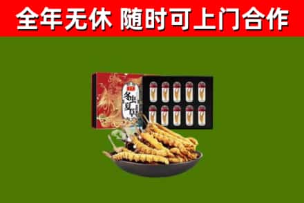 平舆烟酒回收冬虫夏草礼盒.jpg