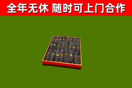 平舆回收海参